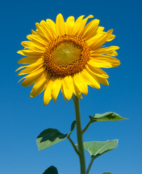 Similar image 6606464