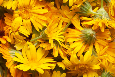 Similar image 6606466