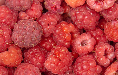 Similar image 6606467