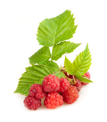 Similar image 6606468