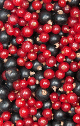 Similar image 6606471