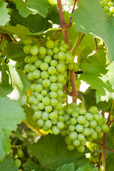 Similar image 6606472