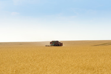 Similar image 6606473