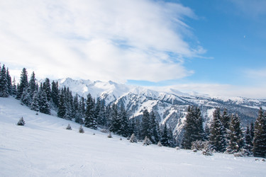 Similar image 6606477