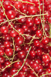 Similar image 6606478