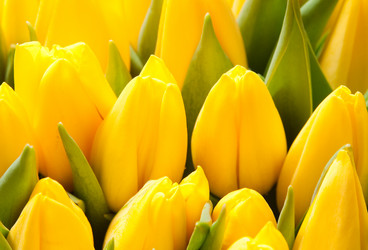 Similar image 6606482