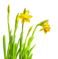 Similar image 6606485