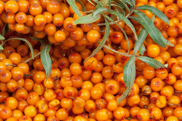 Similar image 6606488