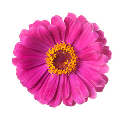 Similar image 6606496