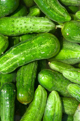 Similar image 6606497