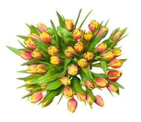 Similar image 6606505