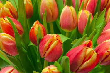 Similar image 6606506