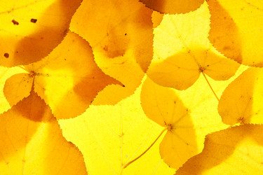 Similar image 6606508