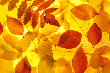 Similar image 6606520