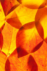 Similar image 6606521