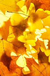 Similar image 6606524