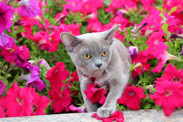 Similar image 6619341