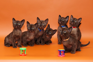 Similar image 6619342