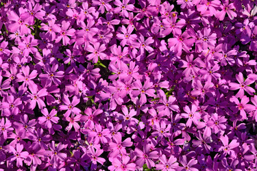 Similar image 6619358