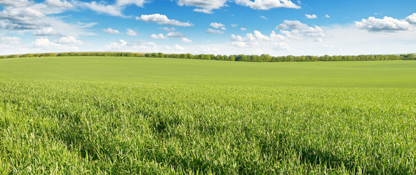 Similar image 6619371