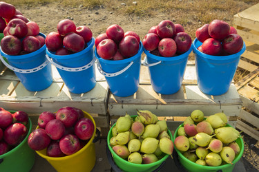 Similar image 6619390