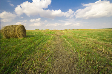 Similar image 6619418