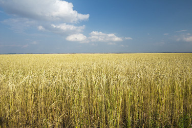 Similar image 6619419