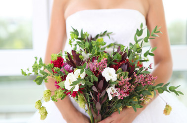 Similar image 6619432