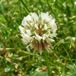 Similar image 6619446