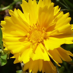 Similar image 6619457