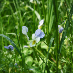 Similar image 6619458