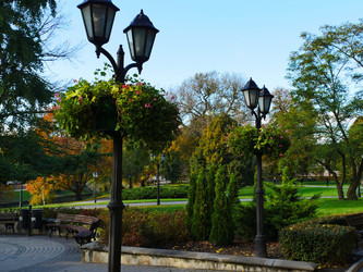 Similar image 6619469