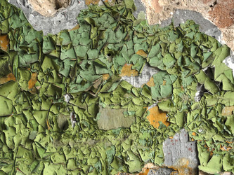 Similar image 6619472