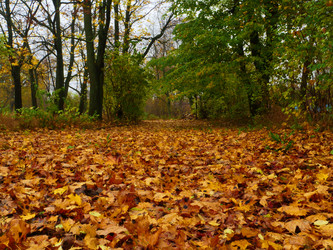 Similar image 6619496