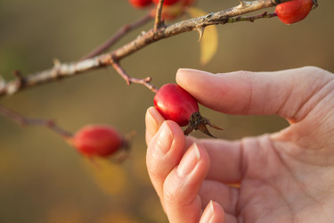 Similar image 6619532