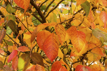 Similar image 6619759