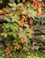 Similar image 6619812