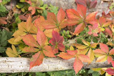 Similar image 6619813