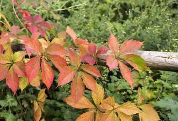 Similar image 6619814