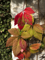 Similar image 6619815