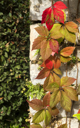 Similar image 6619816