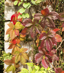 Similar image 6619817