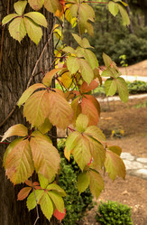 Similar image 6619818