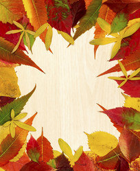 Similar image 6619820