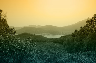 Similar image 6619985