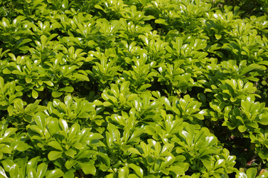 Similar image 6619996