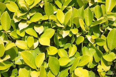 Similar image 6620000