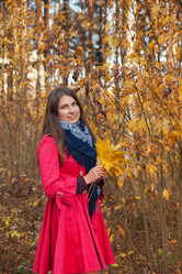 Similar image 6620019