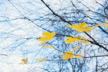 Similar image 6620020