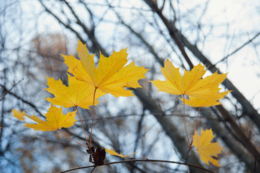 Similar image 6620021